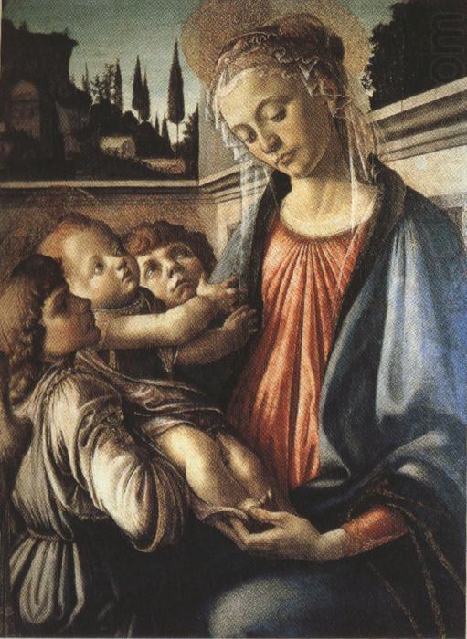 Madonna and Child with two Angels (mk36), Sandro Botticelli
